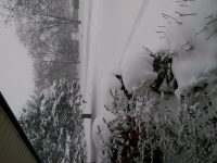 wp_20151121_005.jpg